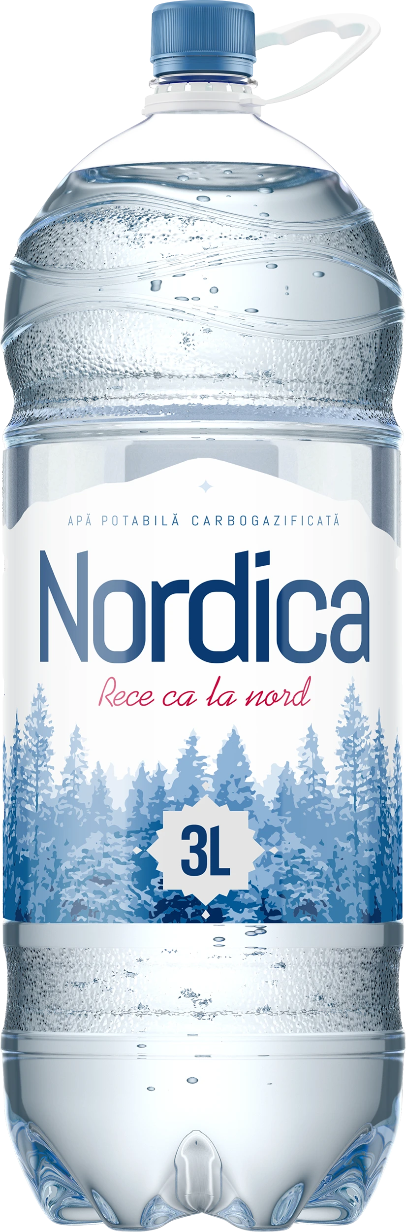 Nordica carbogazoasă 3 l, 4 buc